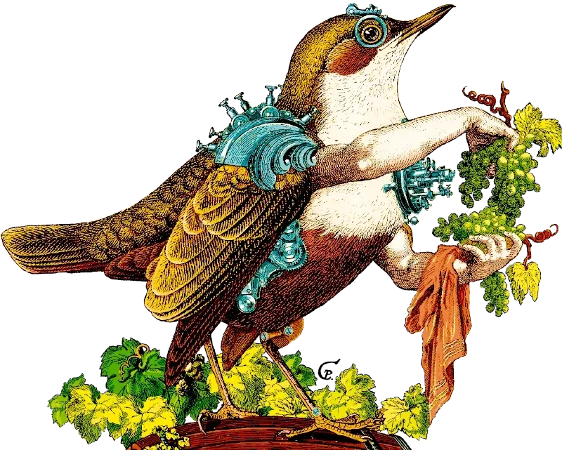 Artistic illustration Pardal for white wine Cirer Solell from Benlloc, Castellón